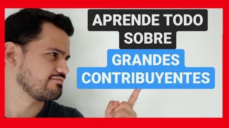 Características de Grandes Contribuyentes: Un Análisis Conciso