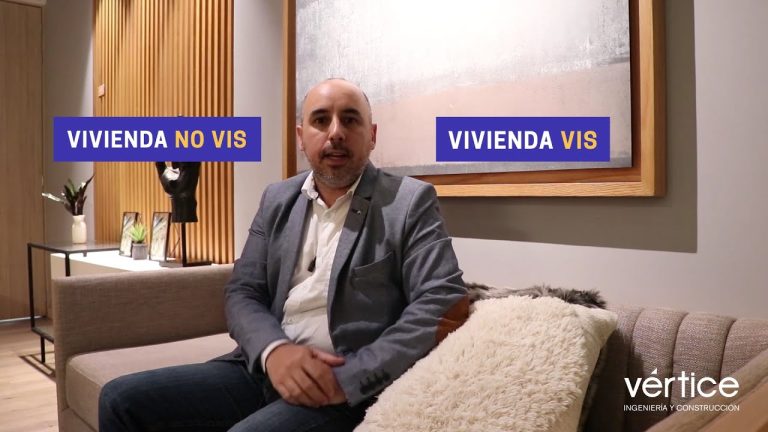 Vis y No Vis: Significado y Diferencias
