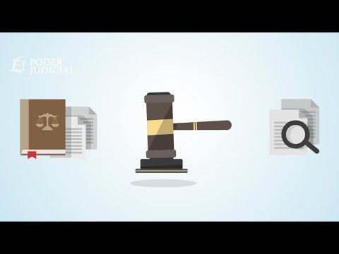 Guía de la ley de habeas data: resumen y claves importantes