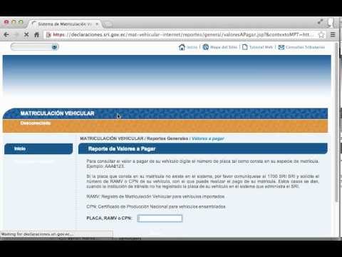 Guía para buscar matrícula de vehículo: Pasos simples y rápidos