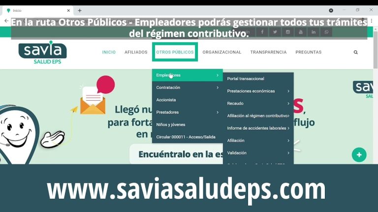 Tipos de Afiliados al Régimen Contributivo