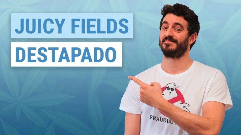 Alternativas refrescantes a los campos jugosos