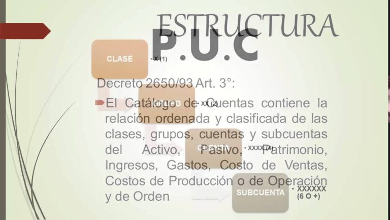 Ejemplos de Estructura del PUC: Guía Optimizada